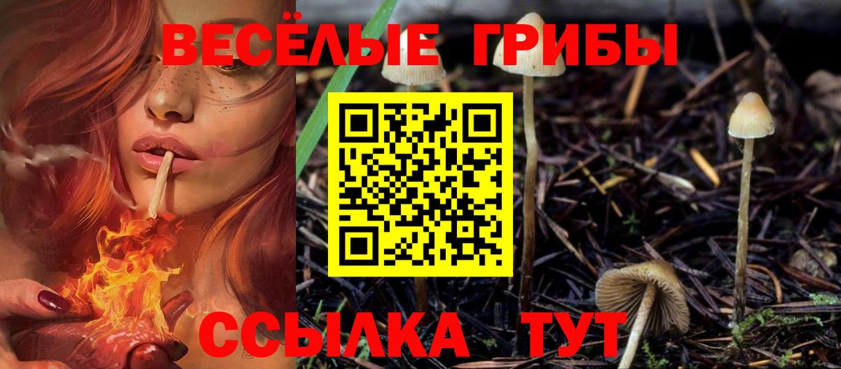 Псилоцибиновые грибы мицелий  Вход с VPN  Михайловск 